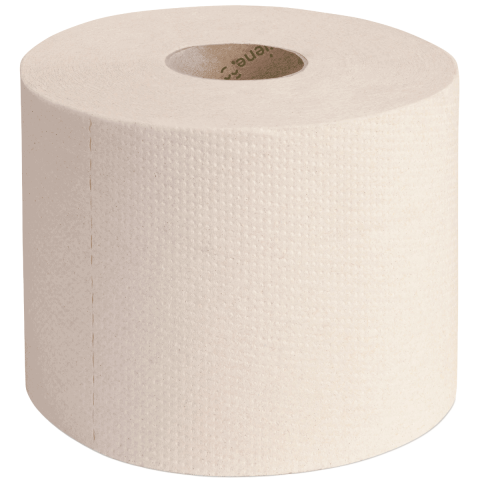  Öko-Toilettenpapier Kleinrollen Green Hygiene Recycling 2-lagig 500 Blatt